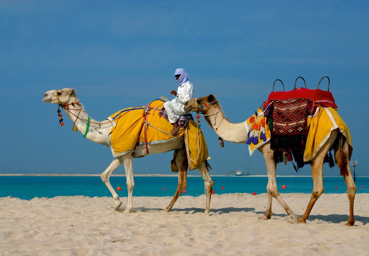 Бедуины Караваны ОАЭ
