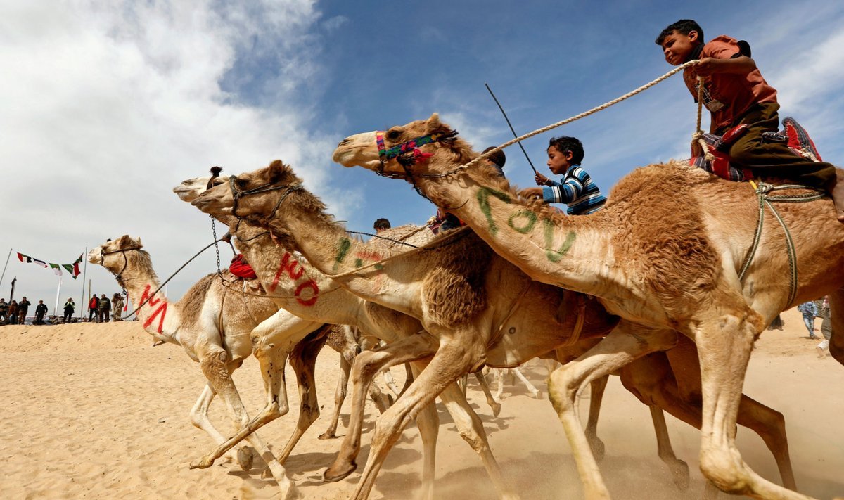 Военные Марокко