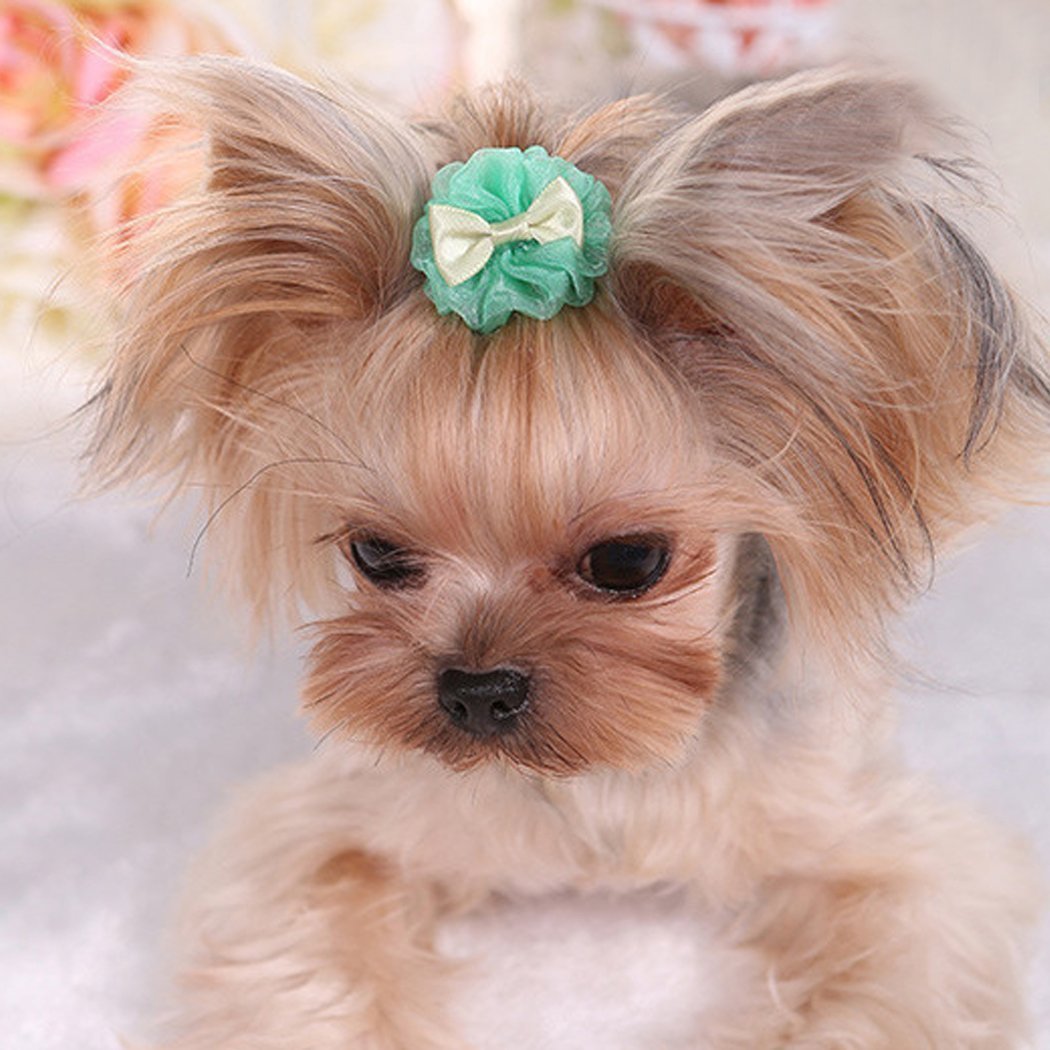 Собачка с бантиком