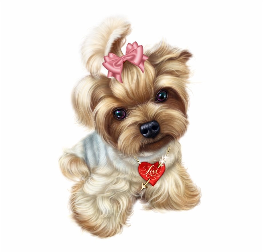 Йоркширский терьер