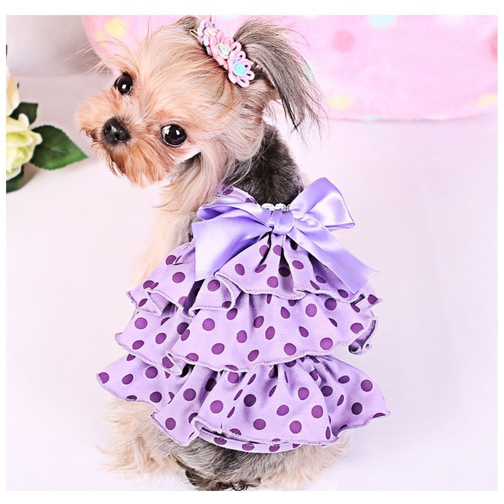 Одежда для маленьких собачек