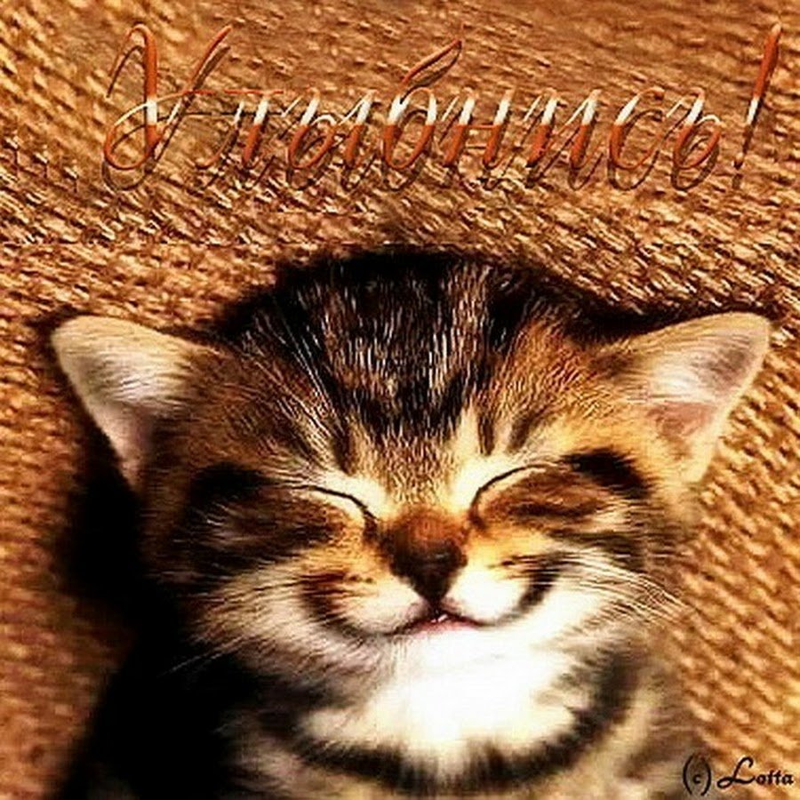 Улыбнись милая