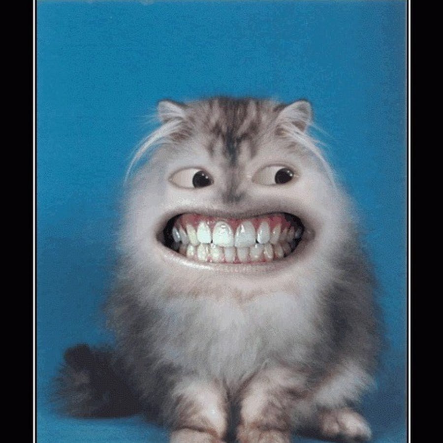 Зубастый кот