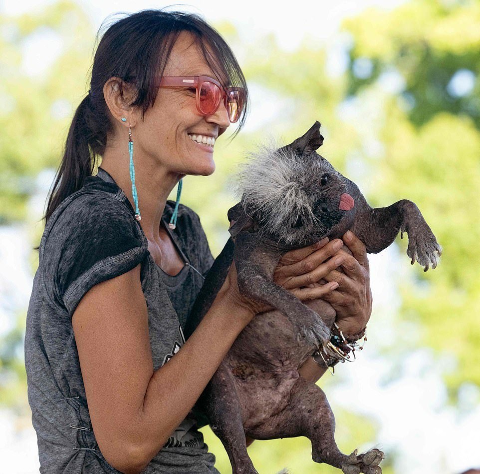 Самая уродливая собака в мире