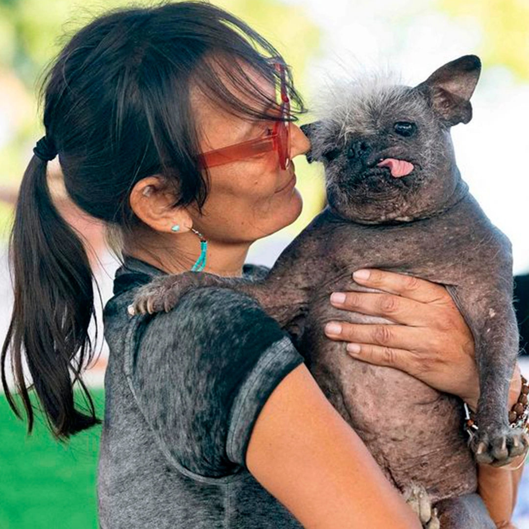 Самая уродливая собака в мире