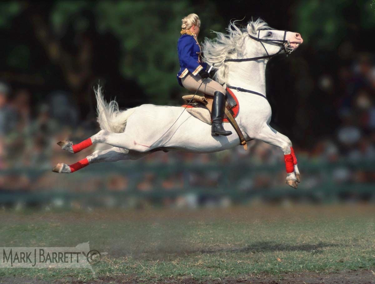Прыжок лошади Каприоль
