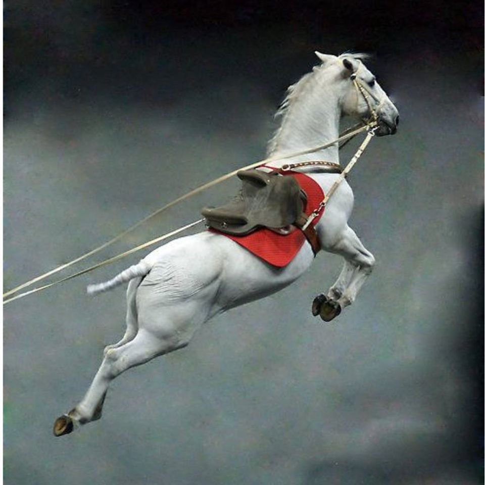 Диксон конь