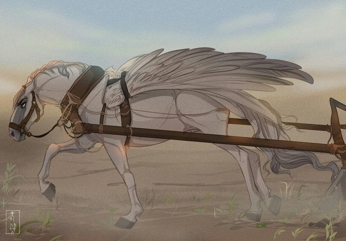 Аниме животные лошади