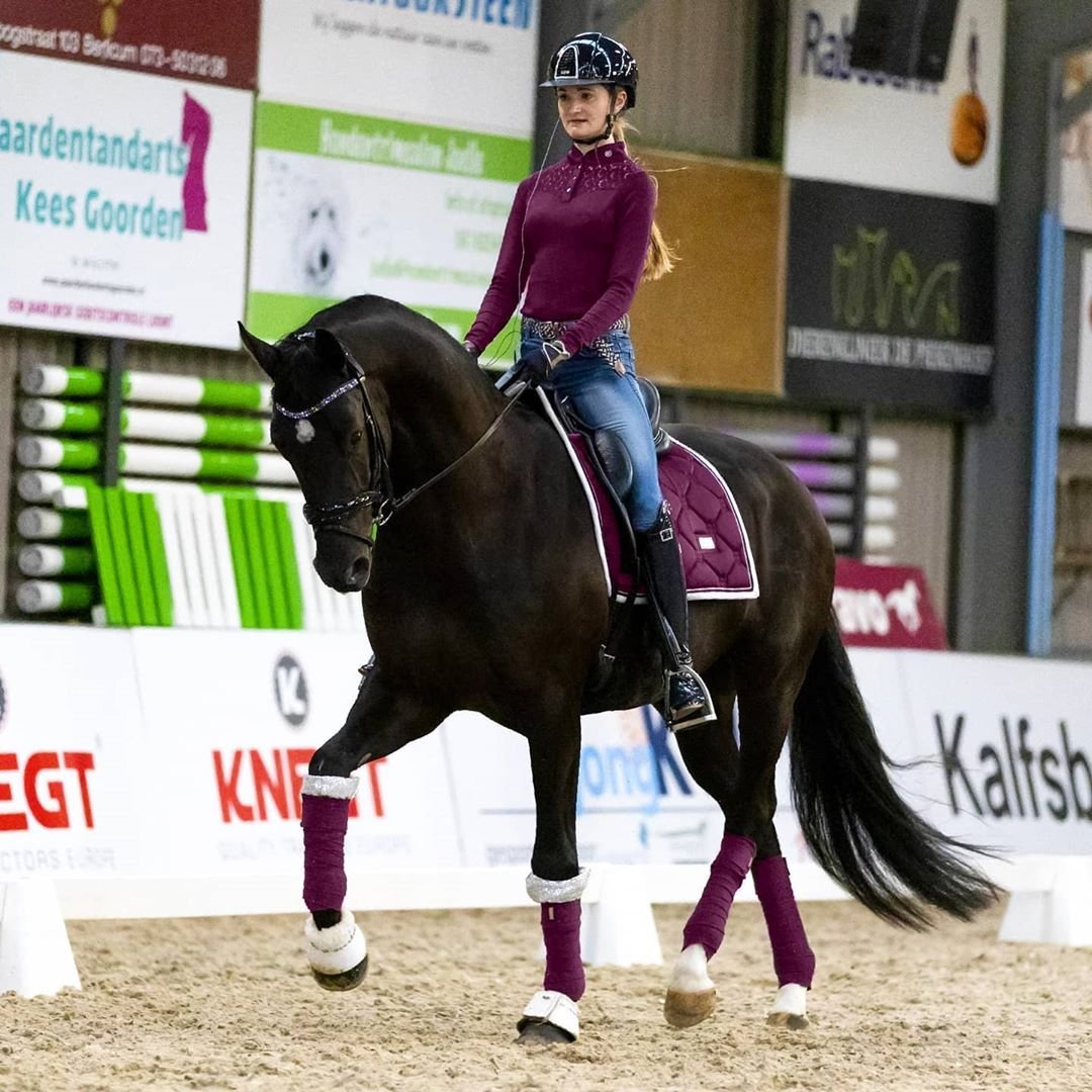 Каприоль конный магазин