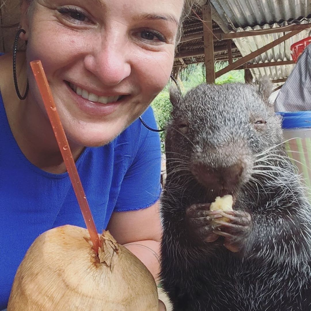 Как отличить мышь от крысы