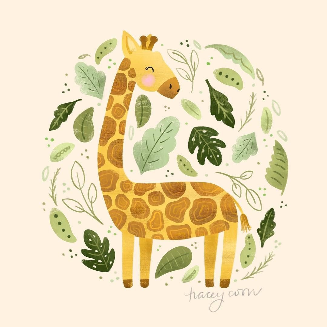 Квокка эндемики Австралии