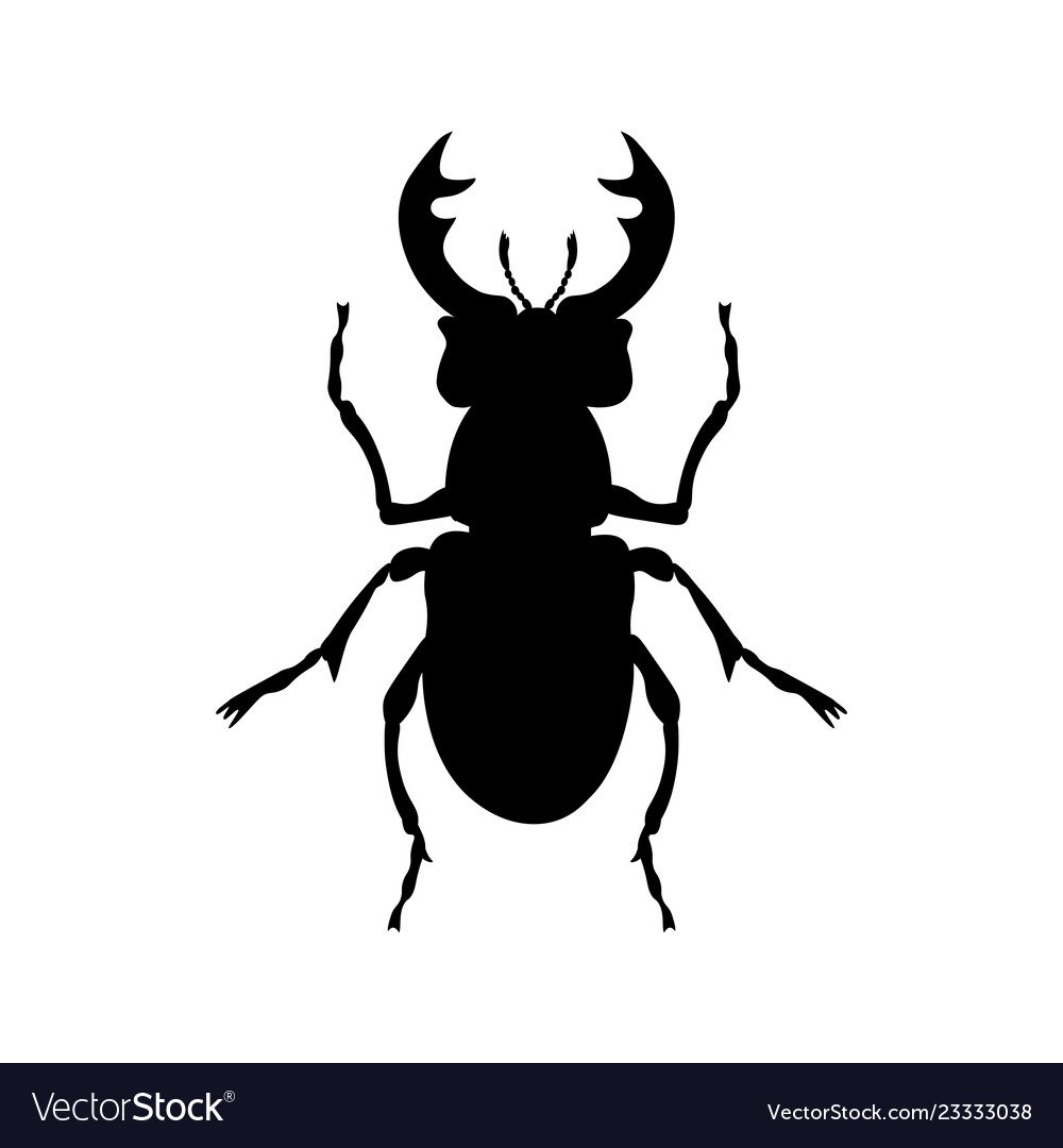 Жук олень вектор