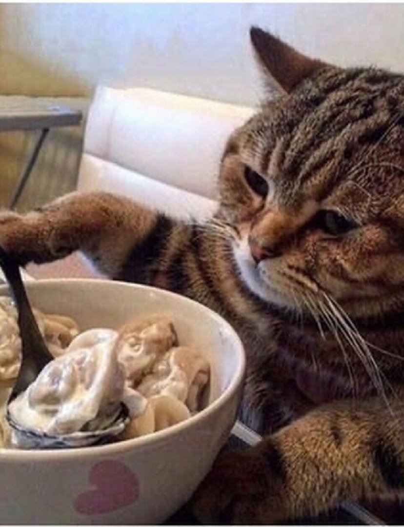 Муксун холодного копчения