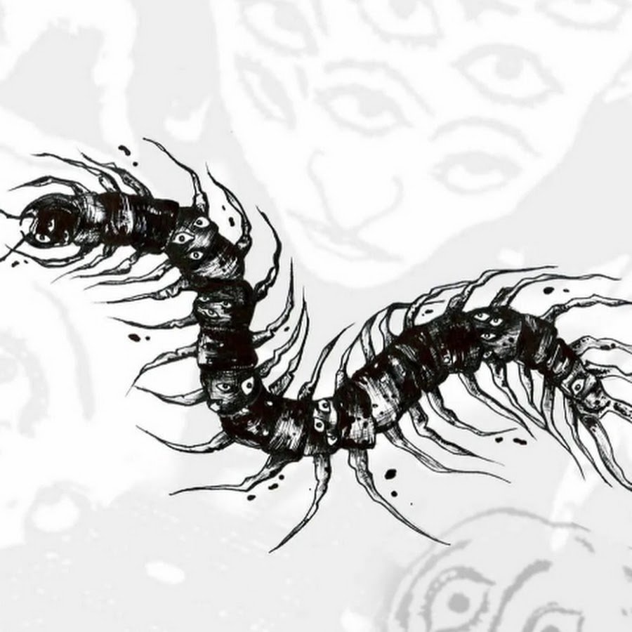 Сколопендра эскиз