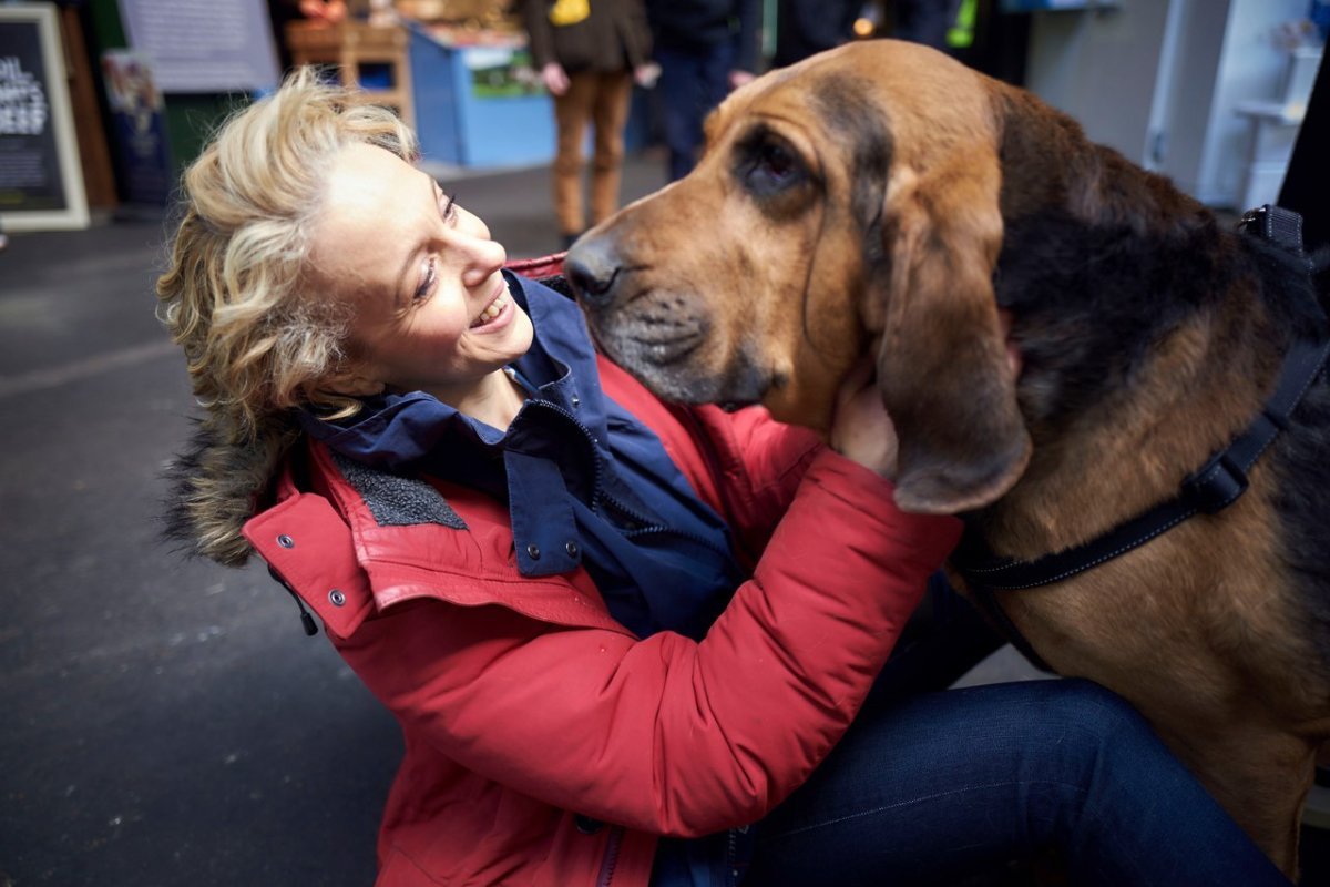 Тоби собака Шерлока Холмса сериал