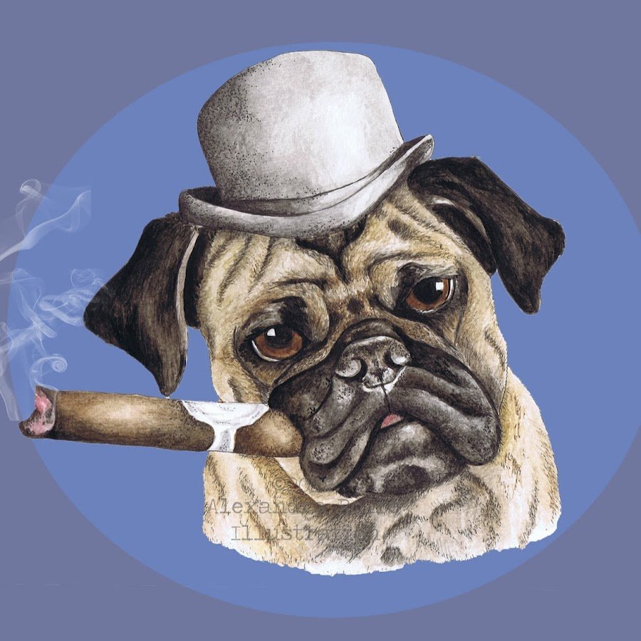 Мопс с сигаретой