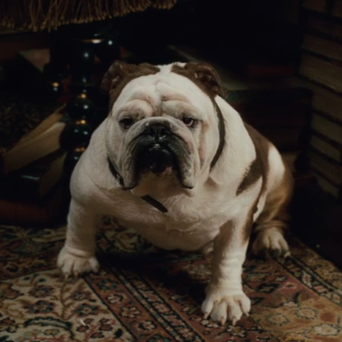 Пес Шерлок Холмс