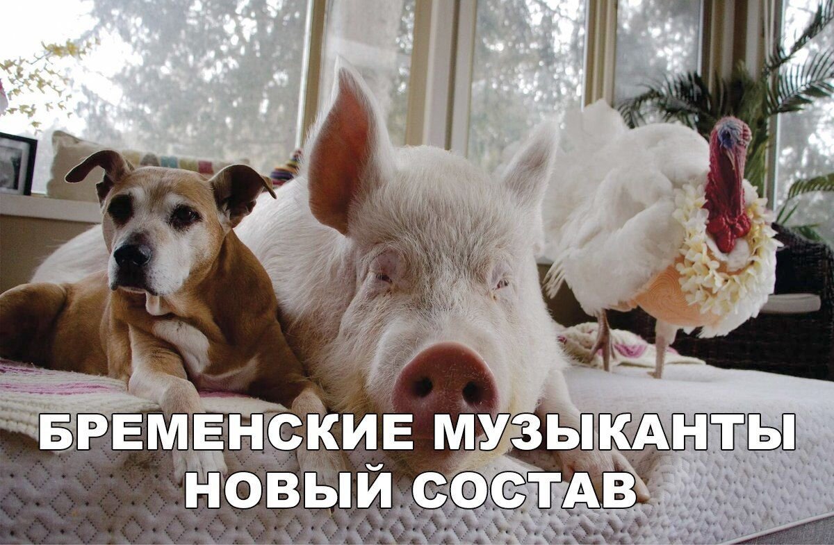 Смешной вечер