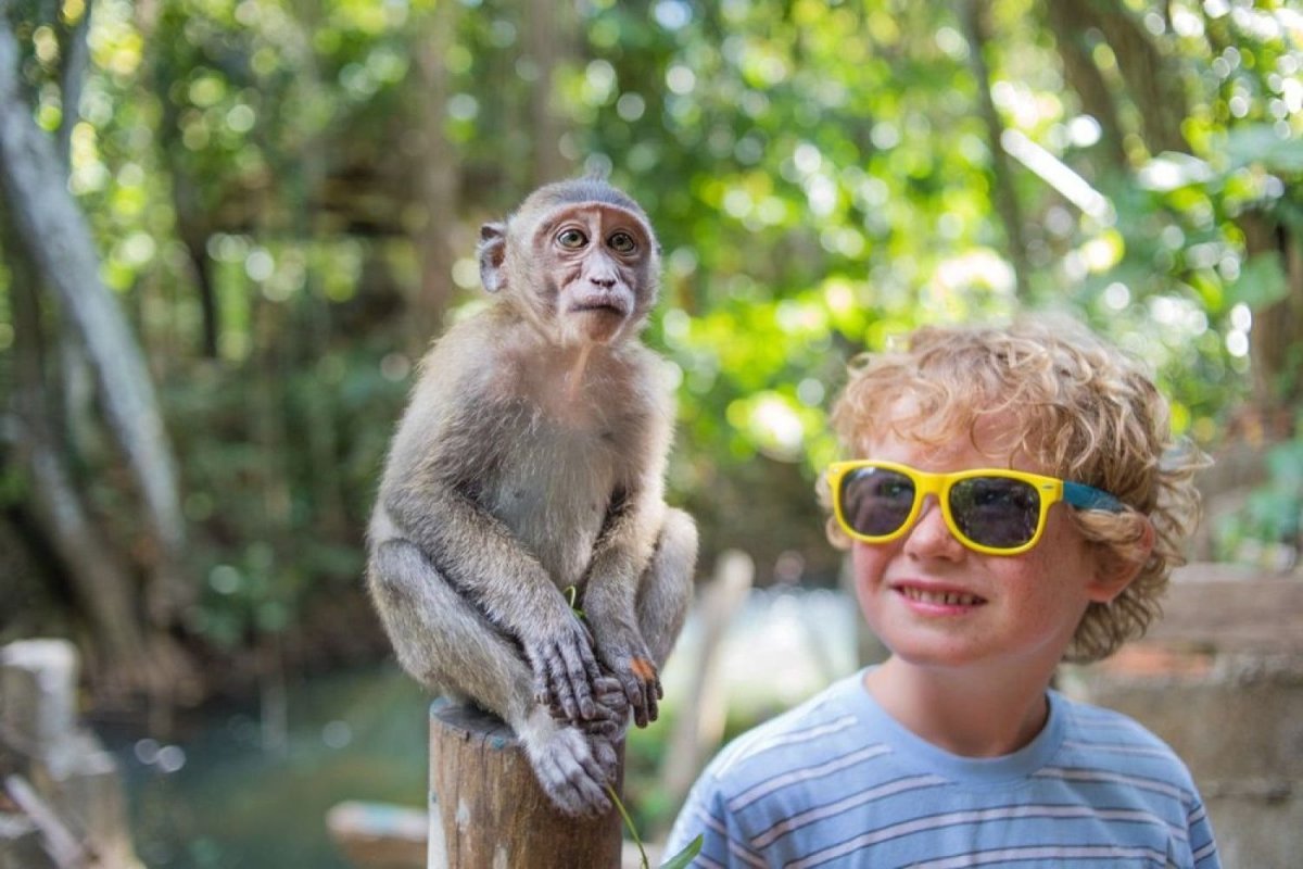 Обезьянка девочка