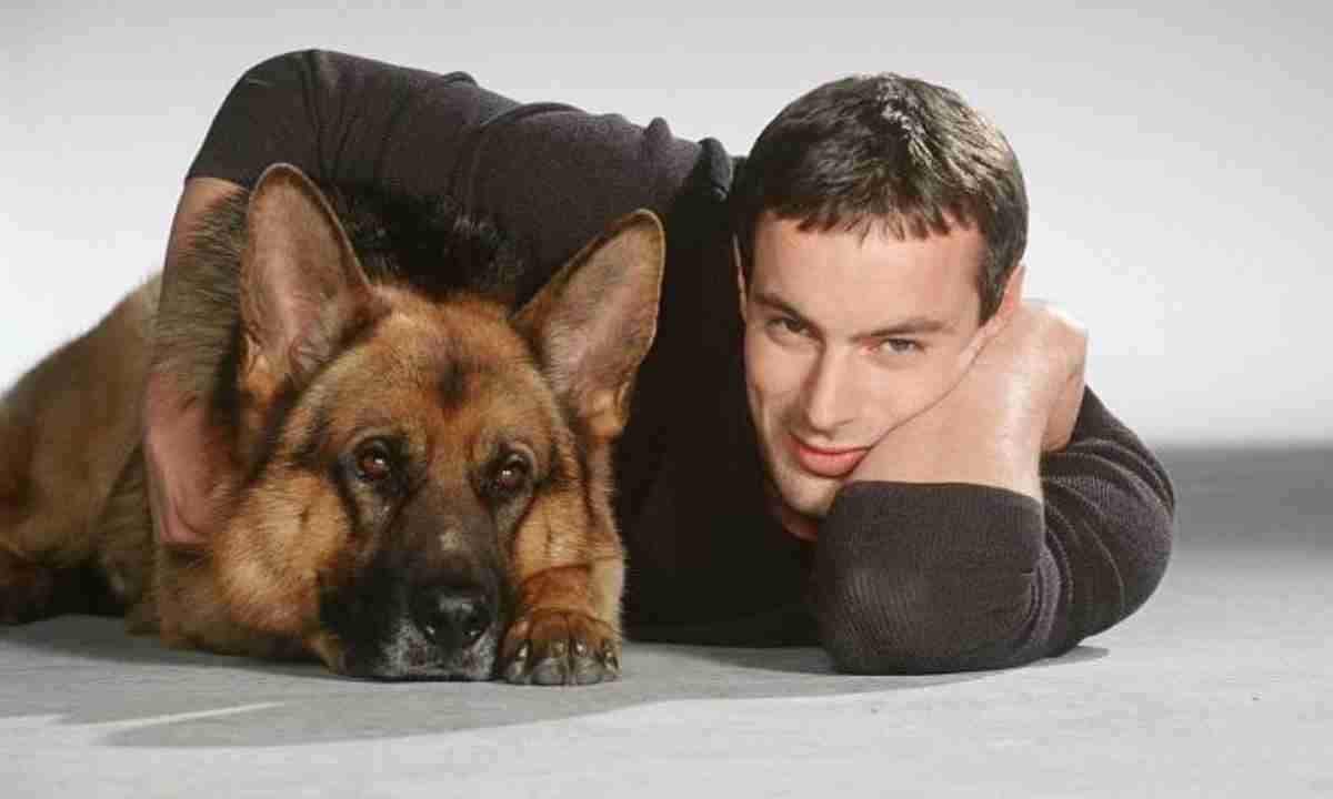 Модель Йована Вентура с доберманом