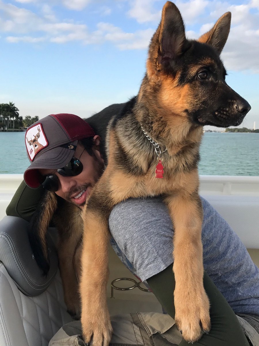 Чел с немецкой овчаркой