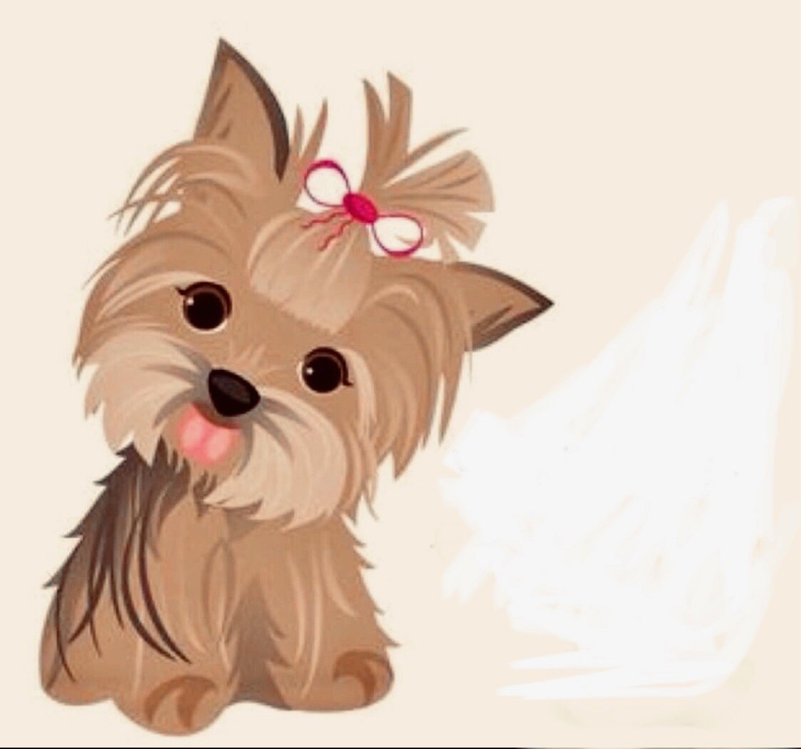 Мультяшные йорки