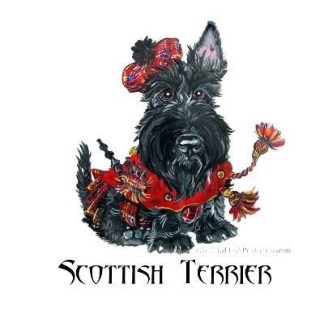 Доберман альбинос