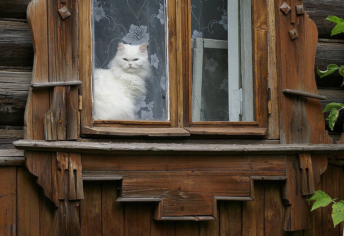 Деревенское окно
