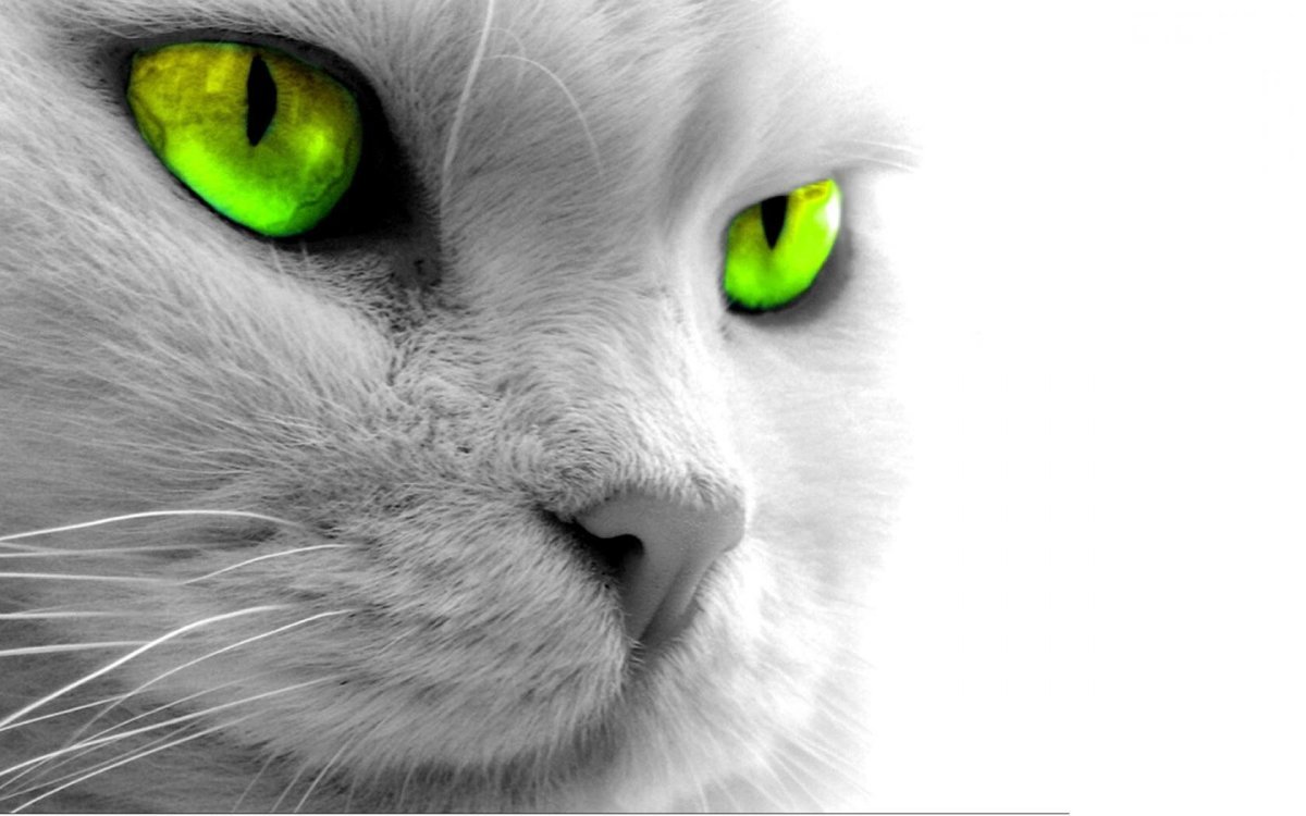 Аватарка 400х400