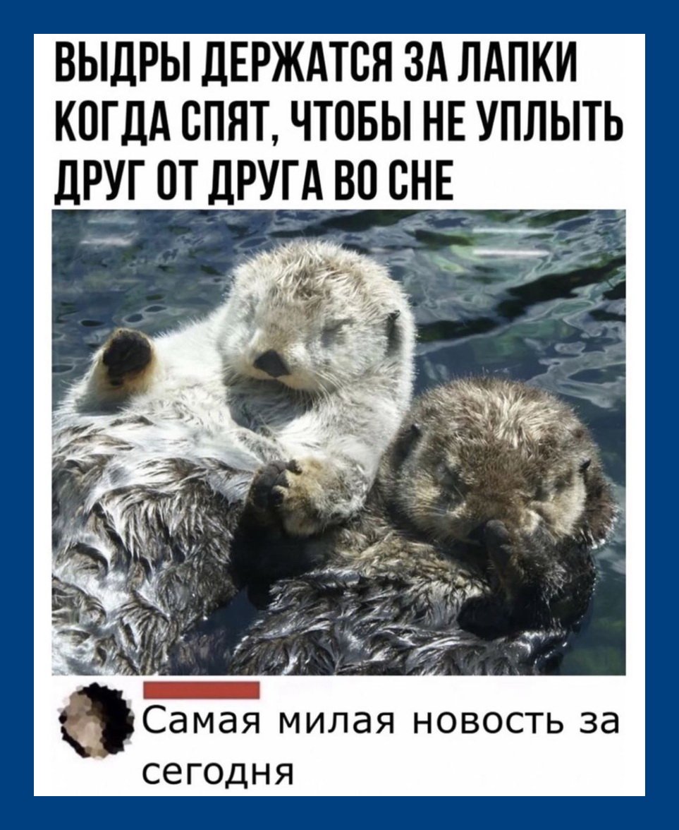 Выдры держатся за лапки во сне