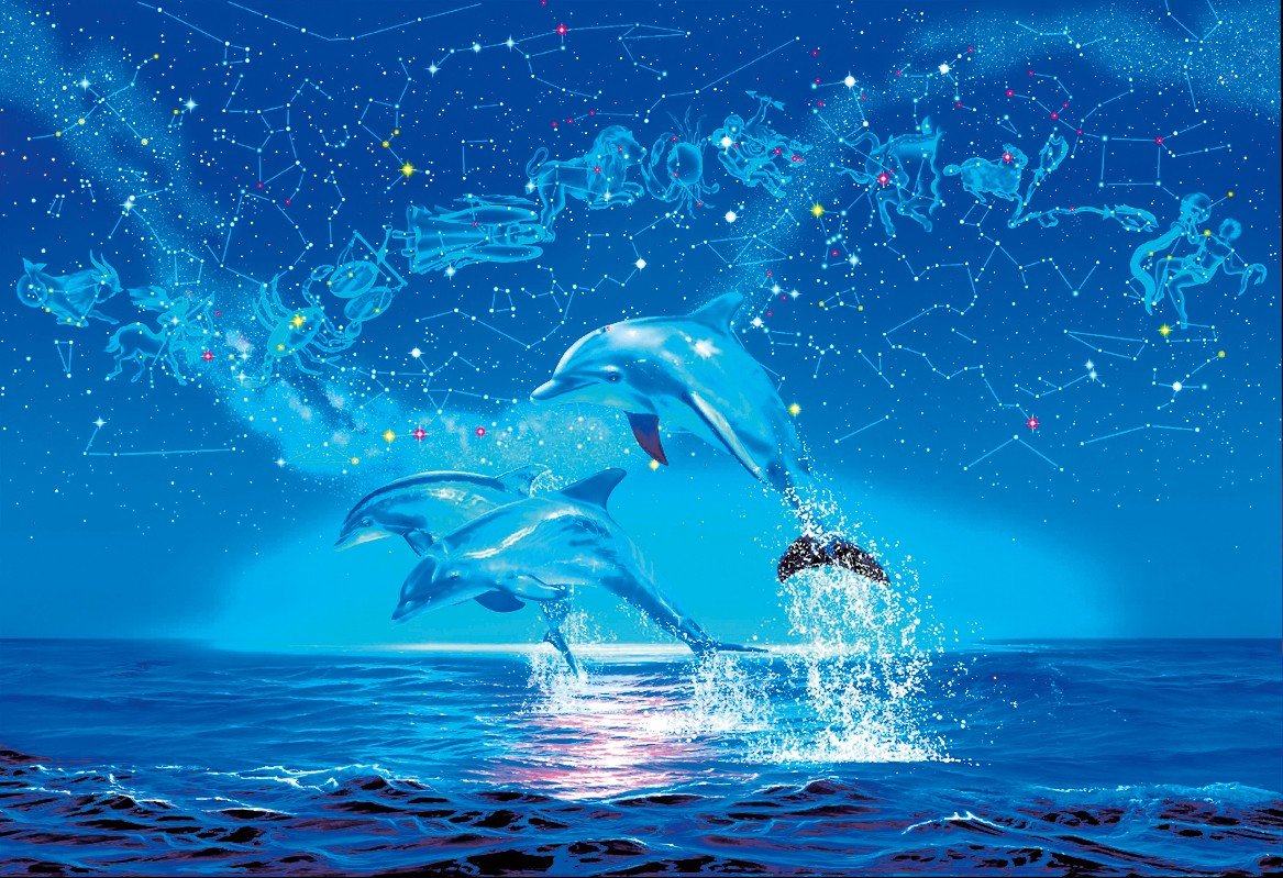 Космические дельфины