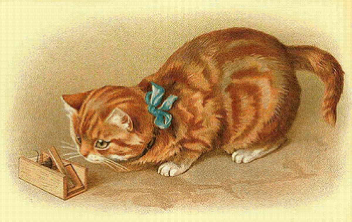 Кошка иллюстрация