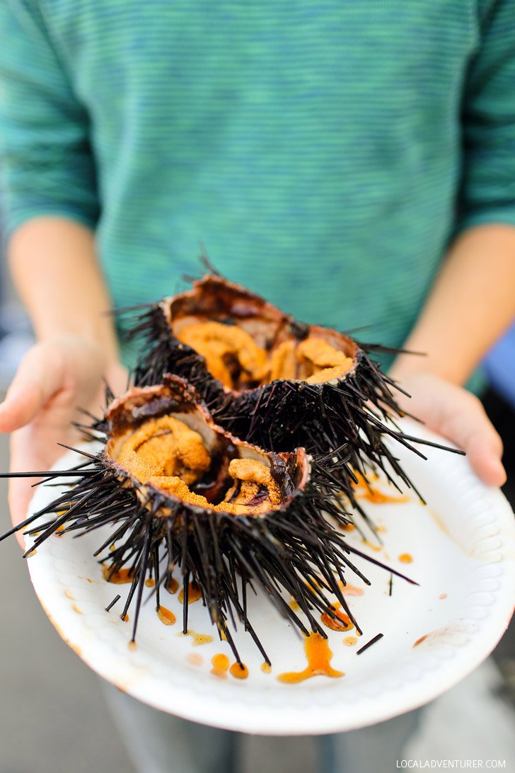 Erkaklar Urchin Welbek