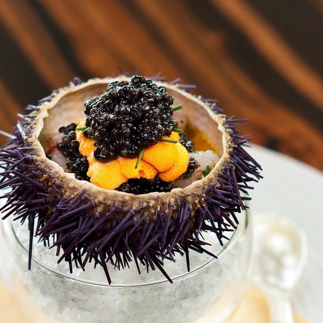 Морской еж сашими