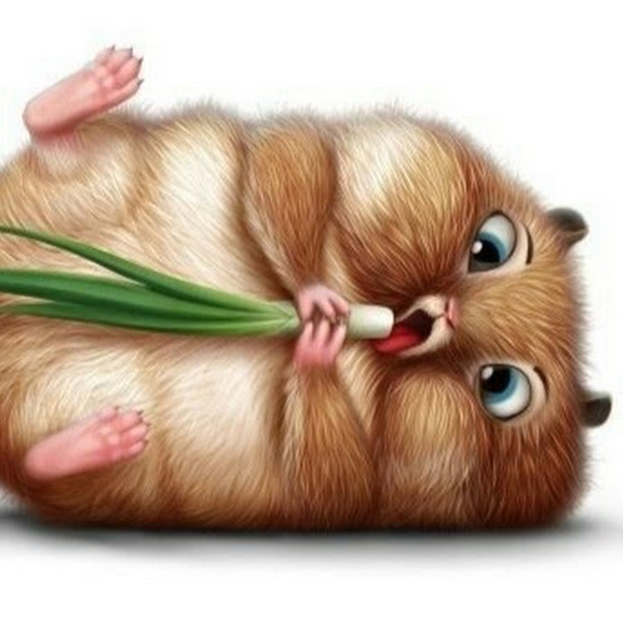 С добрым утром хомячок