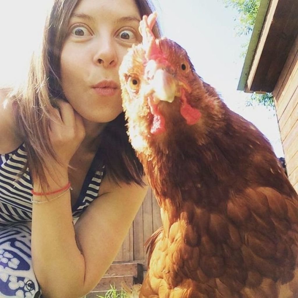 Чужих детей не бывает животные