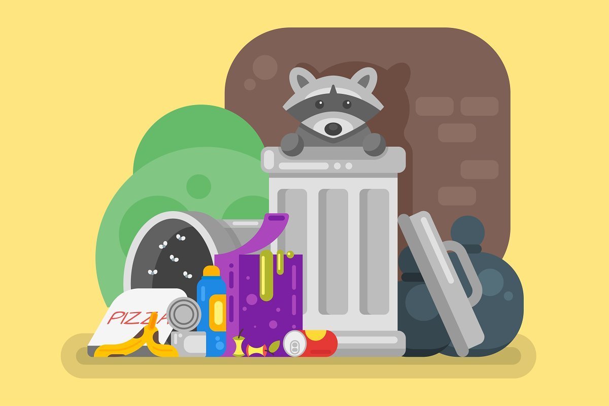 Почему енот полоскун