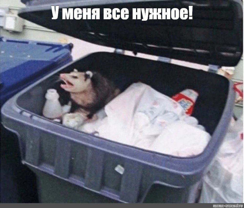 Енот роется в мусорке