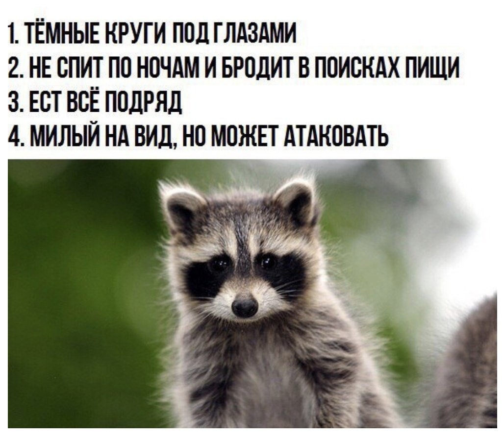 Не трогайте мой мусор Мем