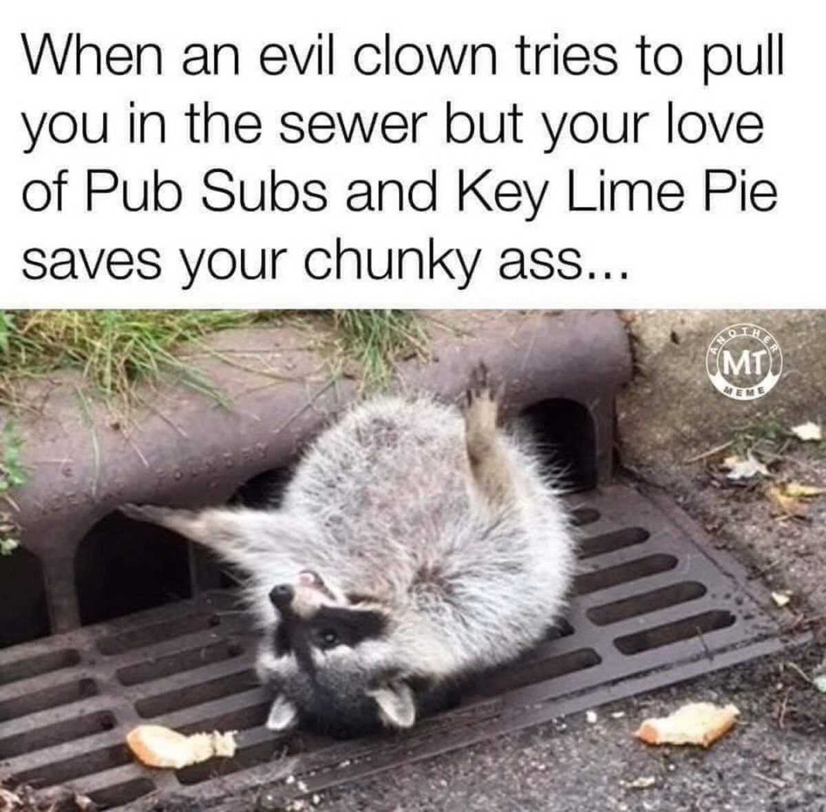 Помойная Панда