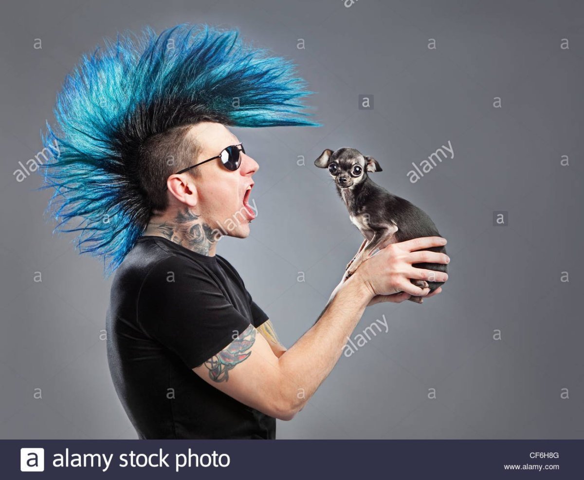 Ирокез панк