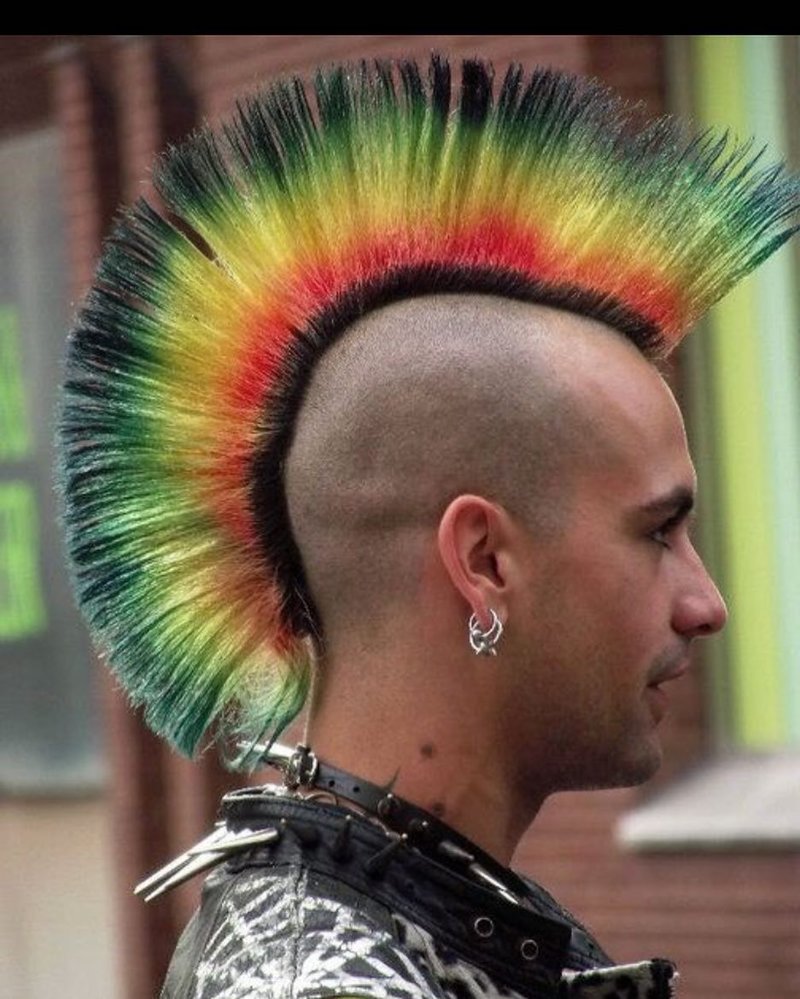 Хаер у Панков