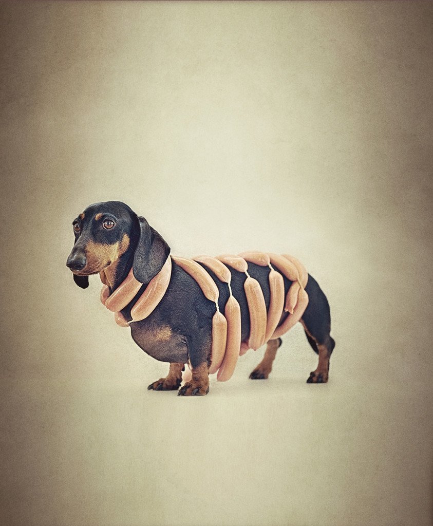 Такса на аву