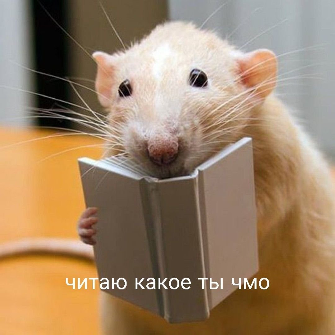Мышь думает