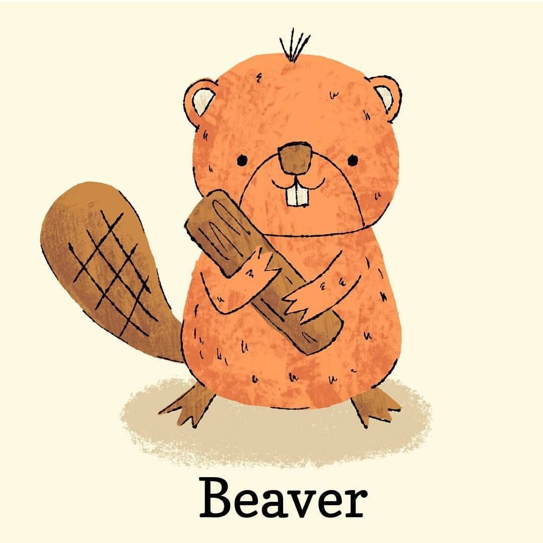 Бобры рисунок