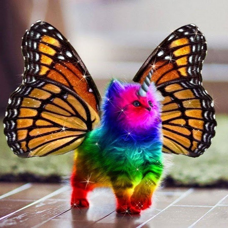 Бабочка с радужными крыльями