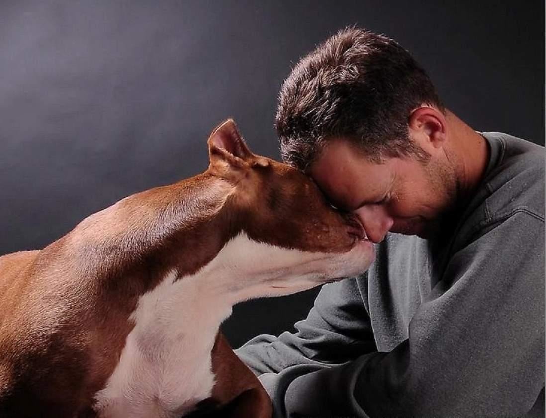 Почему собаки верны человеку. Человек с собакой. Животные друзья человека. Любовь собаки к человеку. Люди и животные любовь.