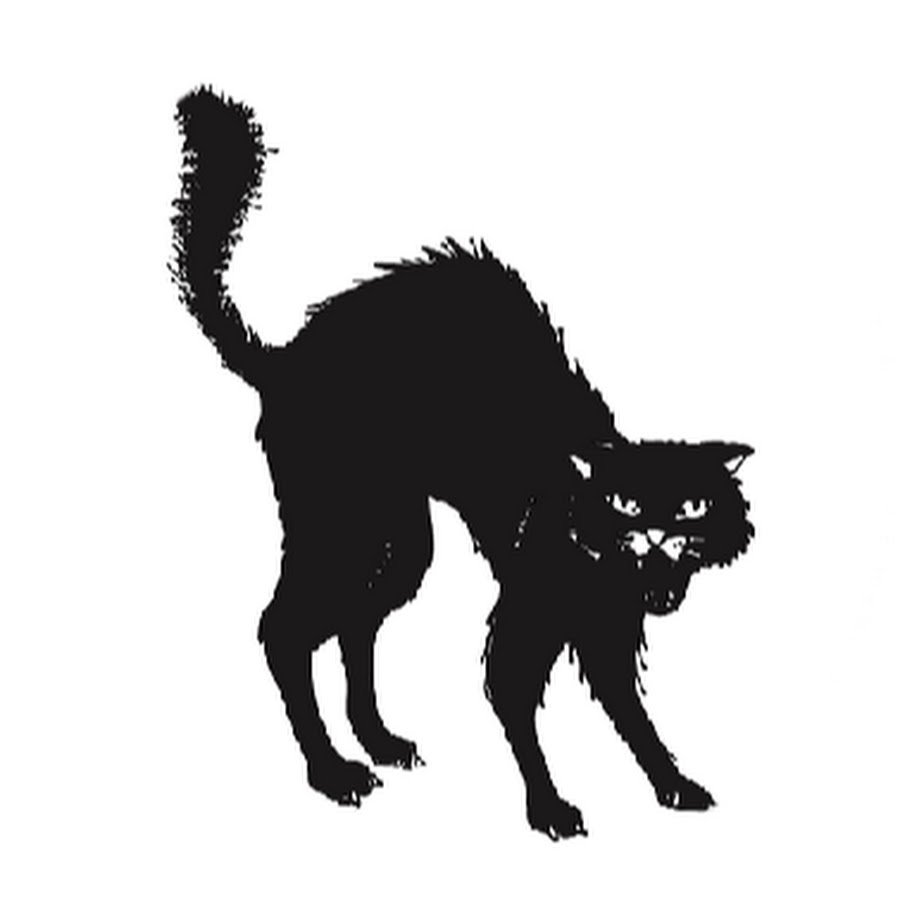 Злой черный кот