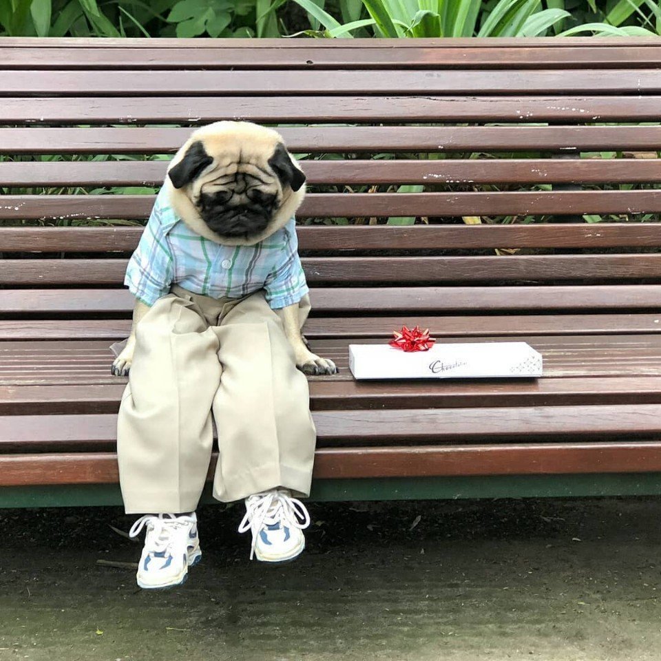 Спотти Стикеры