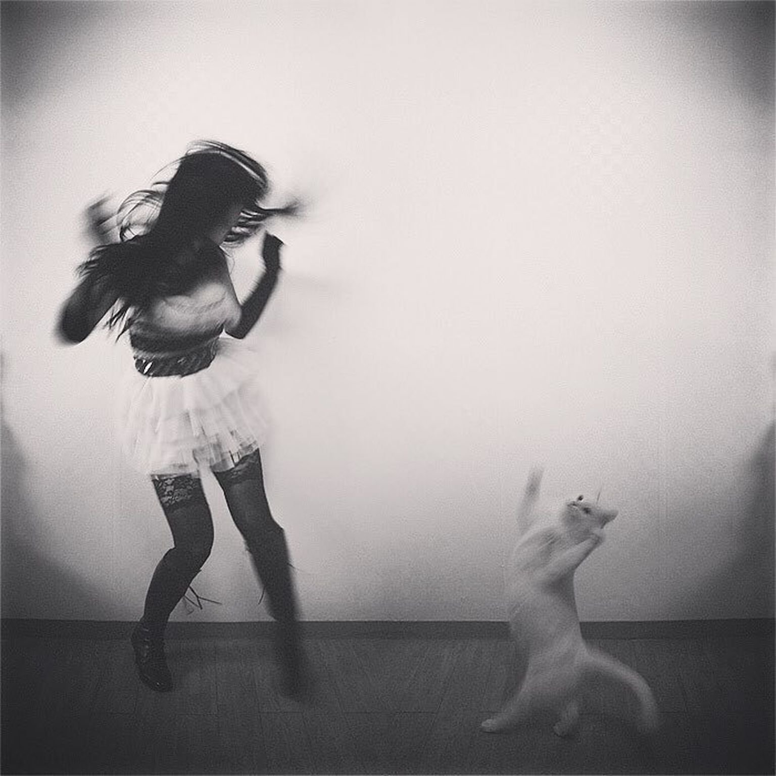 Маска песня танцы кот. Девушка танцует для кошки. Танцующая кошка. Девушка танцует с котом. Девушка кошка.
